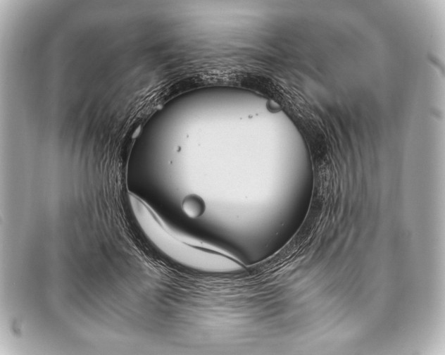 X0000098100699200804181425