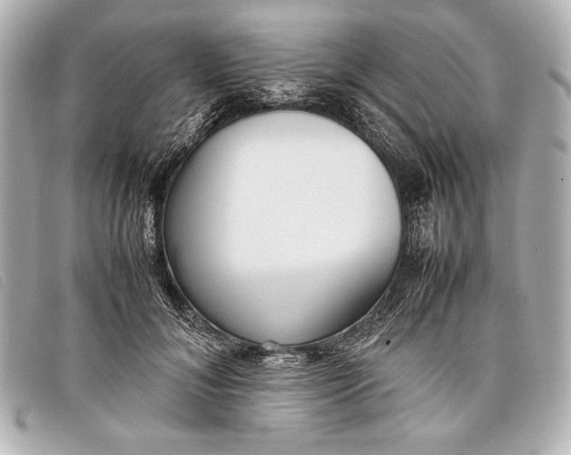 X0000098100700200804181425