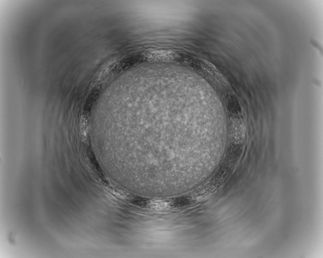 X0000098100701200804181425