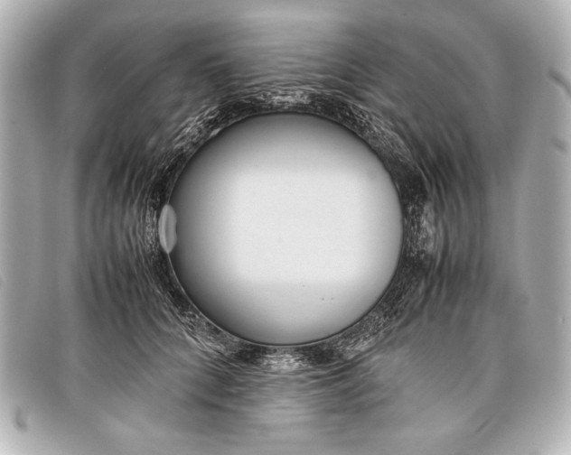X0000098100704200804181425