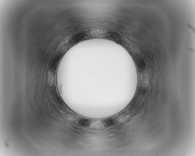 X0000098100705200804181425