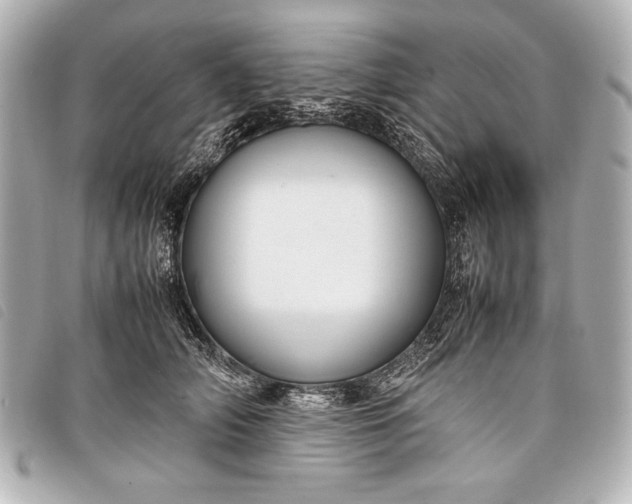 X0000098100706200804181425