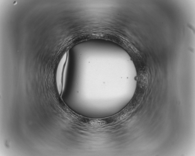 X0000098100707200804181425