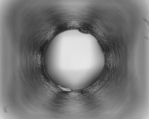 X0000098100708200804181425