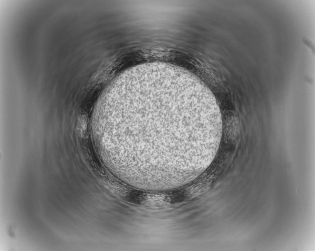X0000098100709200804181425