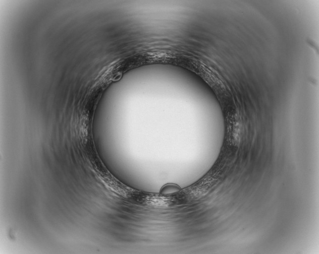 X0000098100710200804181425