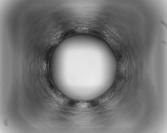 X0000098100711200804181425