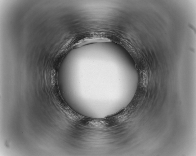 X0000098100712200804181425