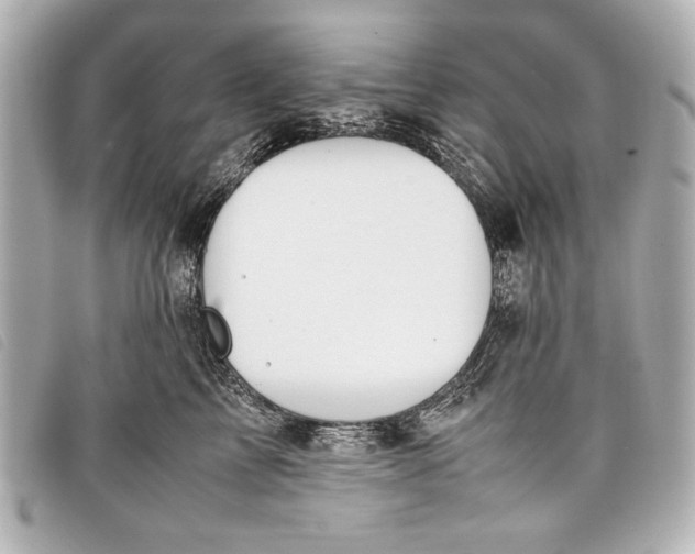 X0000098100713200804181425