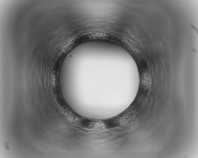 X0000098100715200804181425