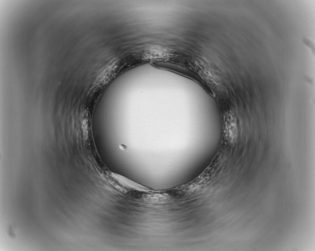 X0000098100716200804181425