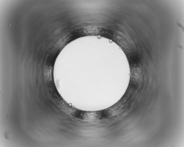 X0000098100717200804181425