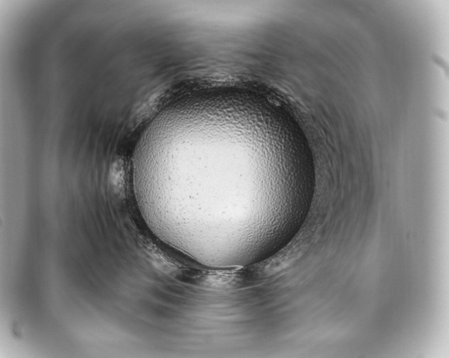 X0000098100720200804181424