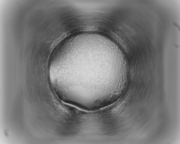 X0000098100721200804181424