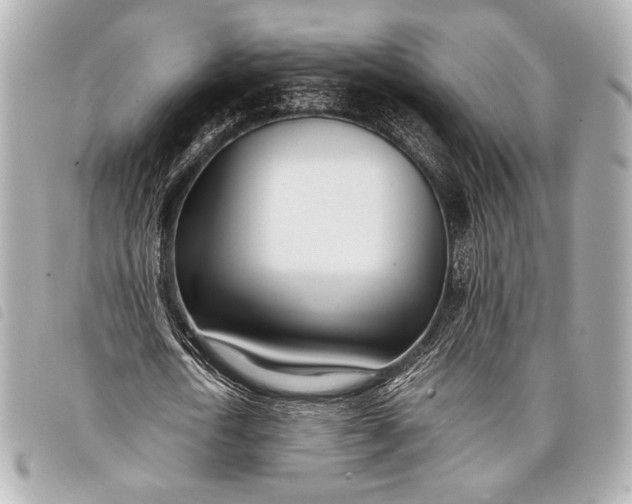 X0000098100722200804181424