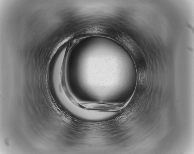X0000098100724200804181424