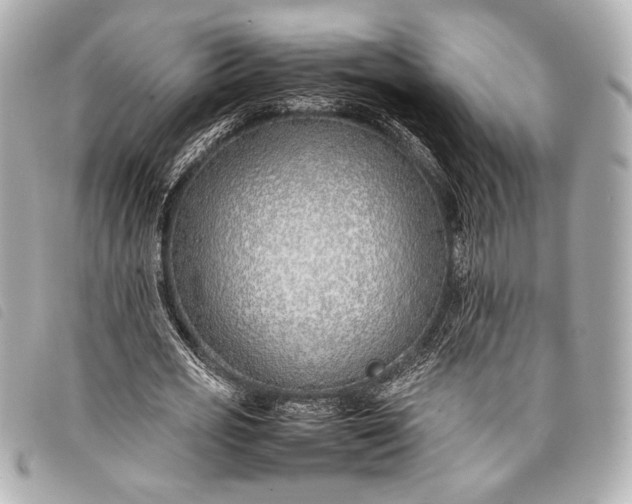 X0000098100725200804181424