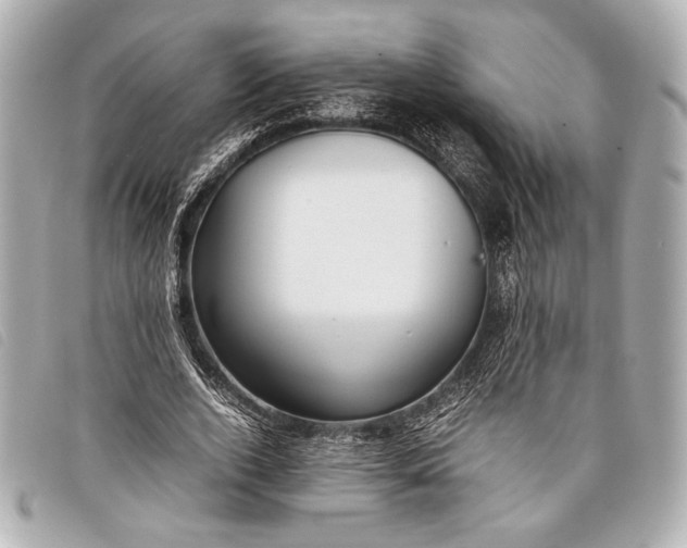 X0000098100728200804181424