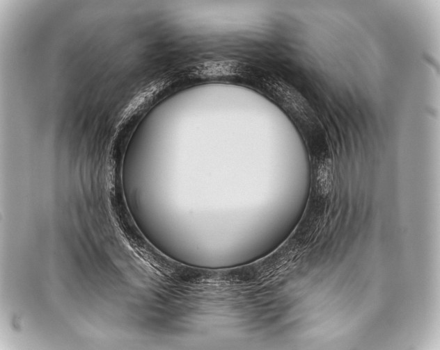 X0000098100732200804181424