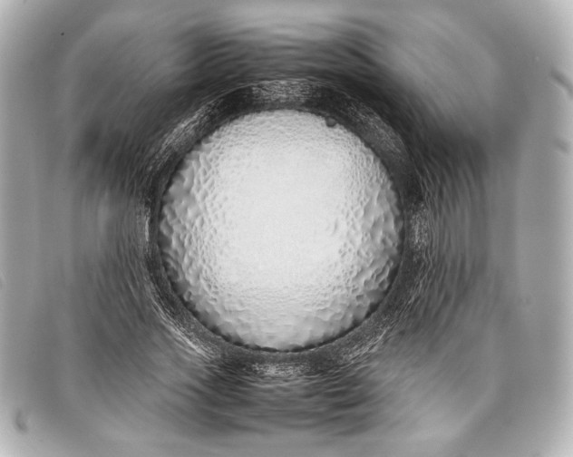 X0000098100733200804181424