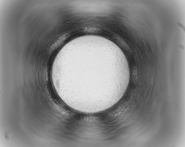 X0000098100734200804181424