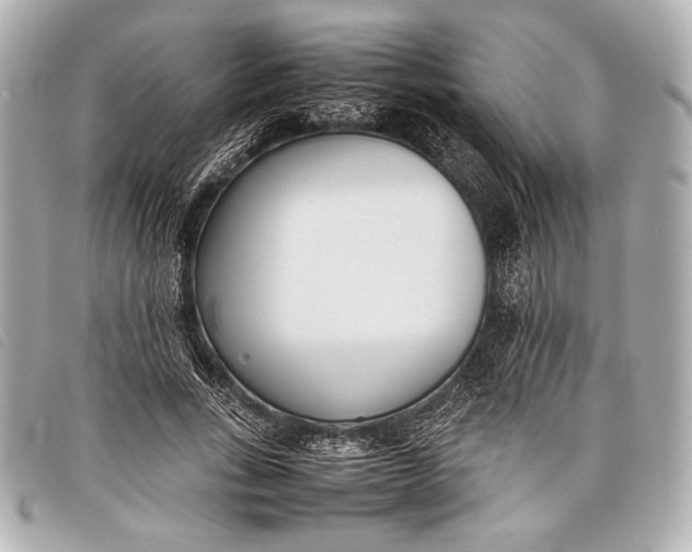 X0000098100735200804181424