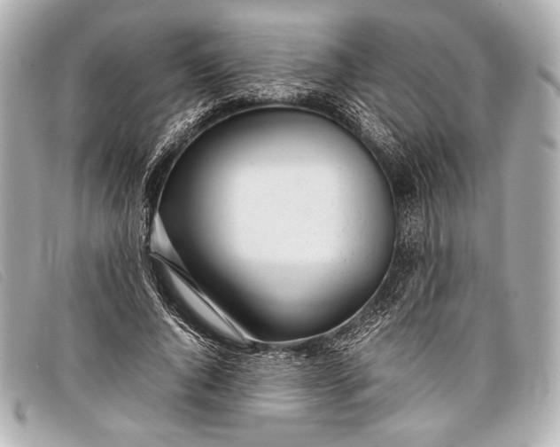 X0000098100736200804181424