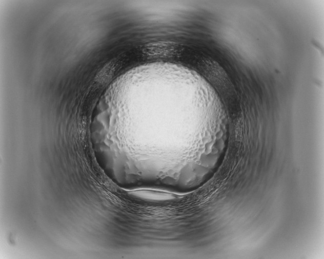 X0000098100737200804181424