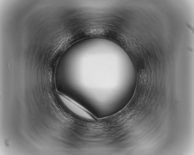 X0000098100739200804181424