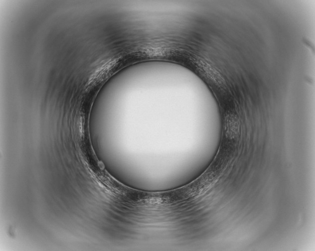 X0000098100740200804181424