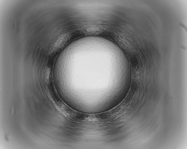 X0000098100742200804181424