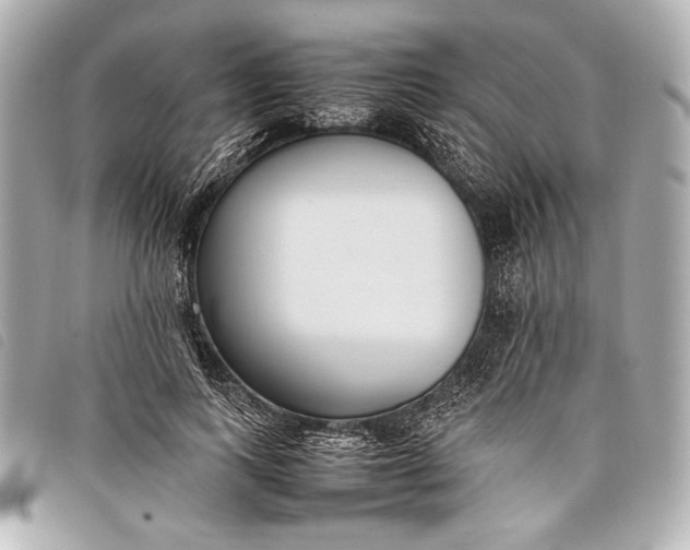 X0000098100743200804181424