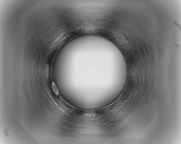 X0000098100744200804181424