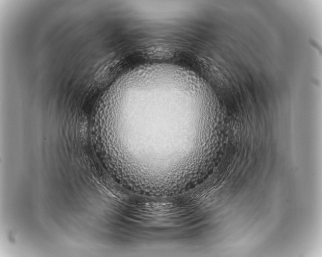 X0000098100745200804181424