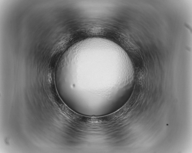 X0000098100746200804181424