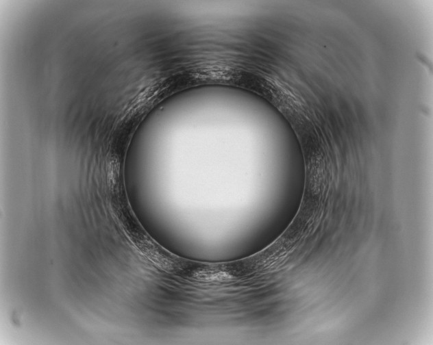 X0000098100747200804181424