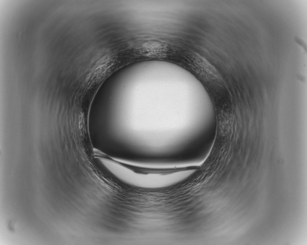 X0000098100748200804181424