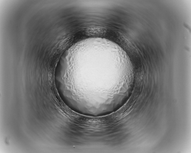 X0000098100749200804181424