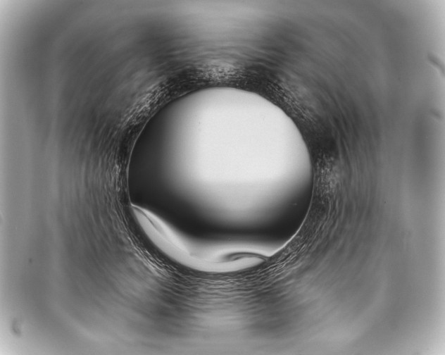 X0000098100750200804181424