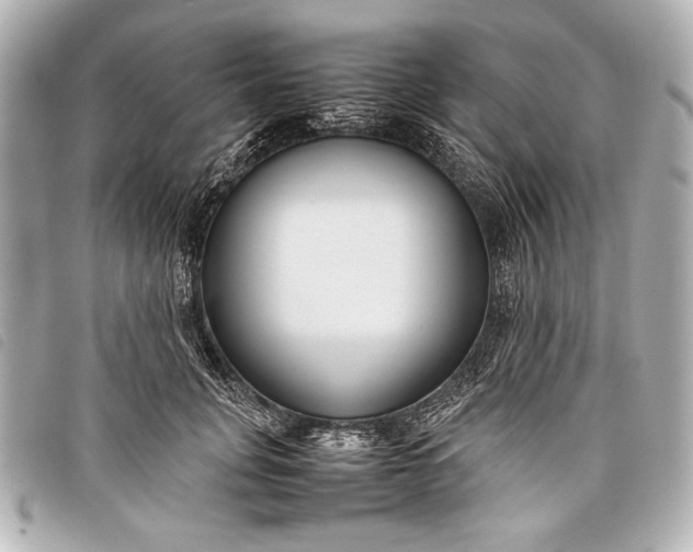 X0000098100751200804181424