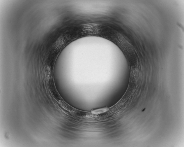 X0000098100752200804181424
