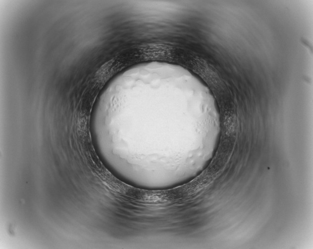 X0000098100753200804181424