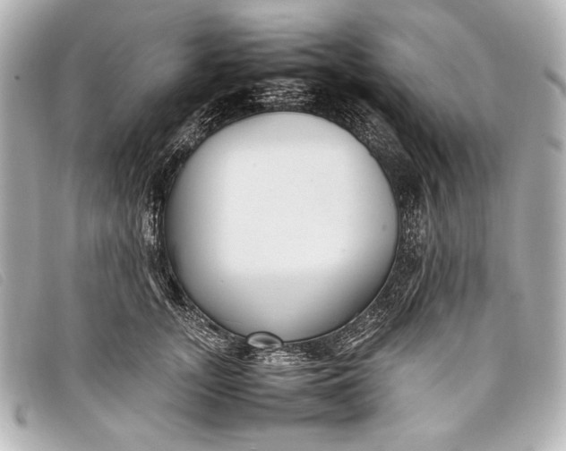 X0000098100755200804181424