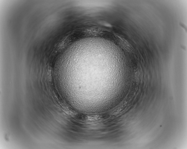X0000098100757200804181424
