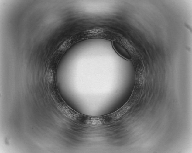 X0000098100758200804181424