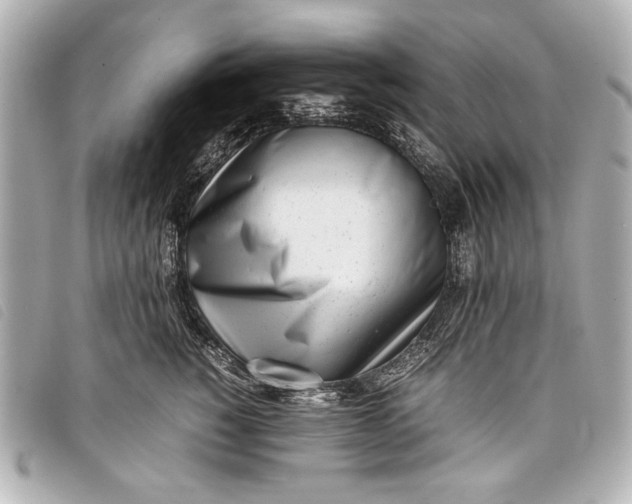 X0000098100760200804181424