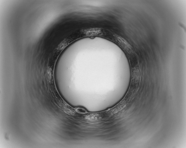 X0000098100761200804181424