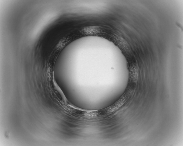 X0000098100762200804181424