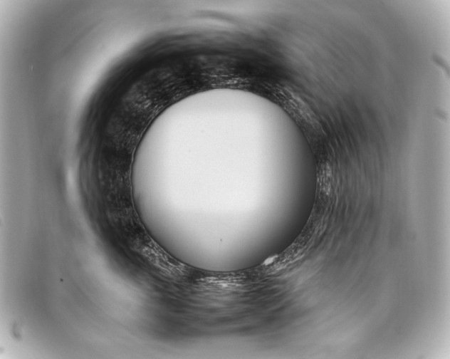 X0000098100763200804181424