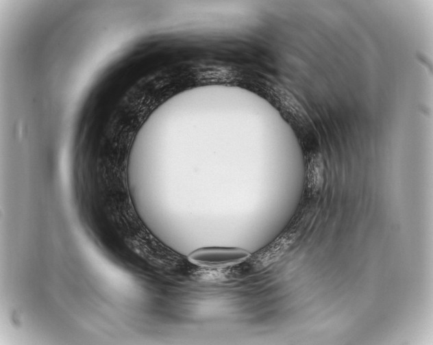 X0000098100764200804181424